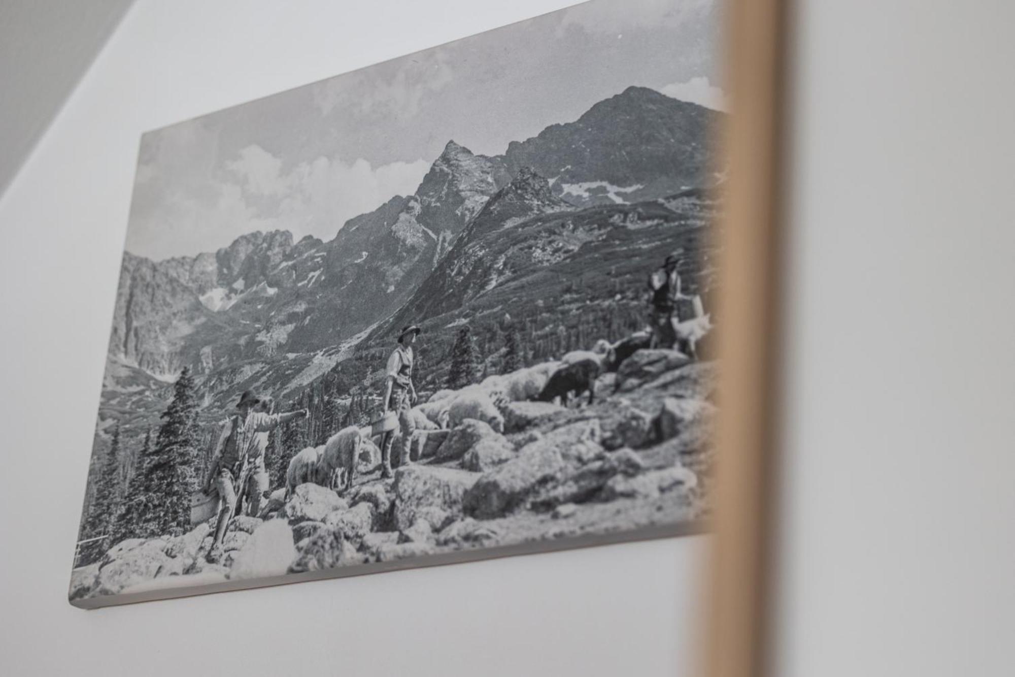 Pokoje Na Rowni 扎科帕内 外观 照片